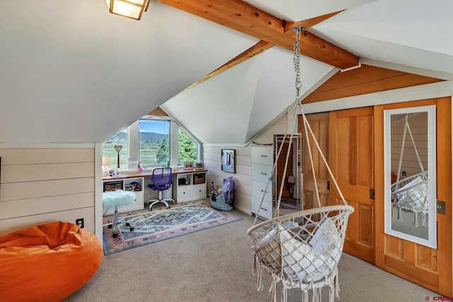 9359 49 1/4 Rd, Mesa, CO 81643 - home office featuring light carpet and wooden walls