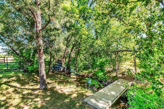 9359 49 1/4 Rd, Mesa, CO 81643 - view of yard
