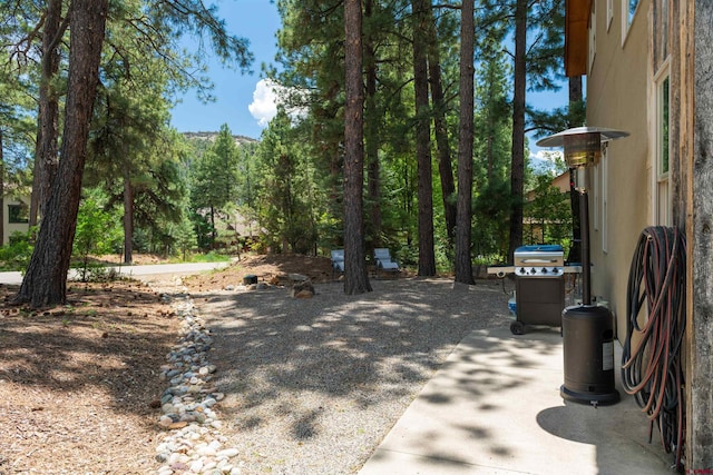15 Edgemont Way, Durango, CO 81301 - view of patio with grilling area