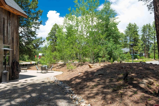 15 Edgemont Way, Durango, CO 81301 - view of yard featuring a patio