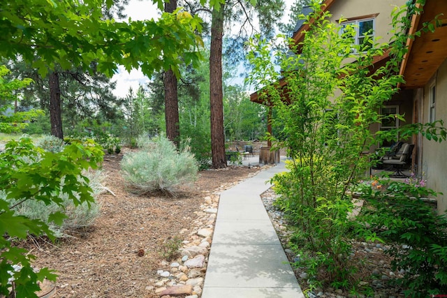 15 Edgemont Way, Durango, CO 81301 - view of yard