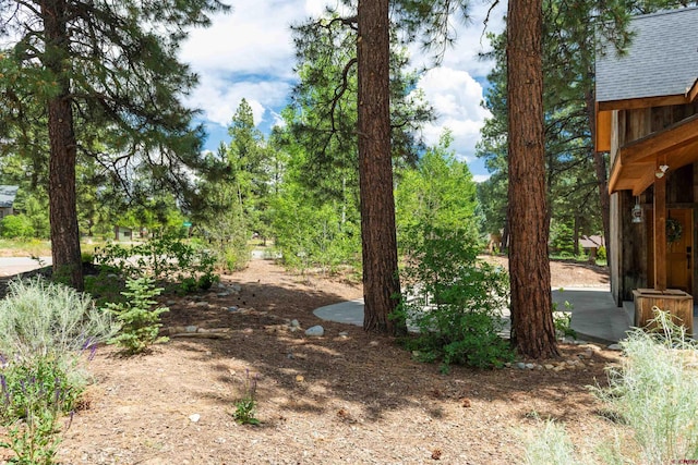 15 Edgemont Way, Durango, CO 81301 - view of yard
