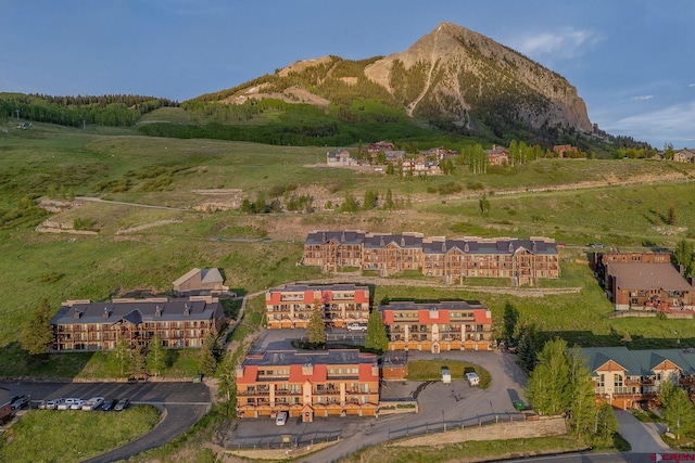 20 Hunter Hill Rd Unit 110, Mount Crested Butte, CO 81225 - aerial view of property's location with a mountain backdrop