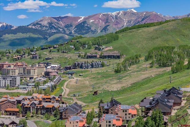 20 Hunter Hill Rd Unit 110, Mount Crested Butte, CO 81225 - mountain view