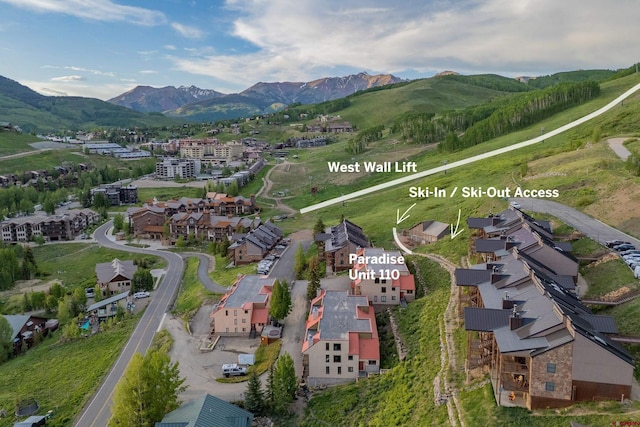 20 Hunter Hill Rd Unit 110, Mount Crested Butte, CO 81225 - aerial view of residential area with a mountain backdrop