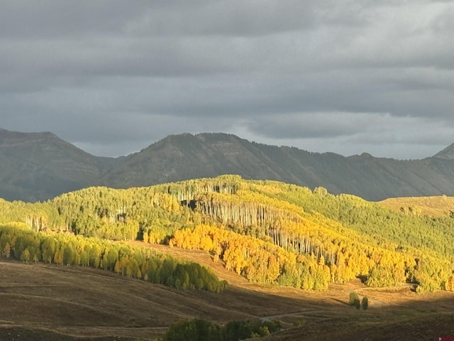 20 Hunter Hill Rd Unit 110, Mount Crested Butte, CO 81225 - view of mountain background with a heavily wooded area