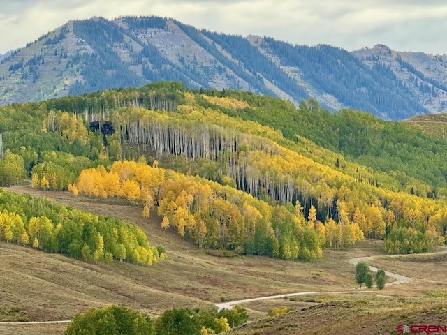 20 Hunter Hill Rd Unit 110, Mount Crested Butte, CO 81225 - mountain view featuring a forest
