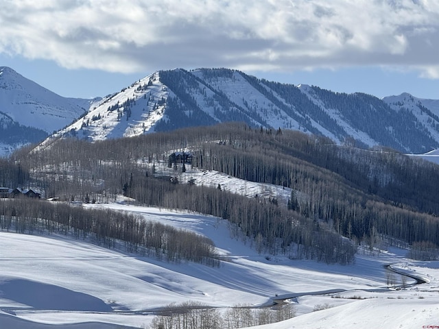20 Hunter Hill Rd Unit 110, Mount Crested Butte, CO 81225 - mountain view