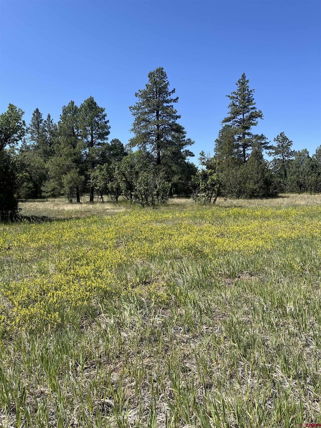 256 Heath Dr, Pagosa Springs, CO 81147