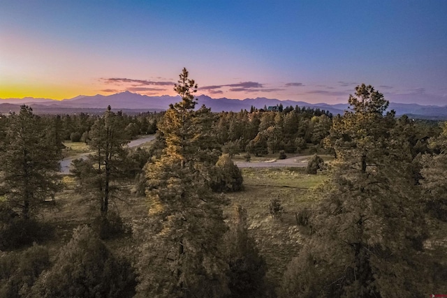 256 Heath Dr, Pagosa Springs, CO 81147