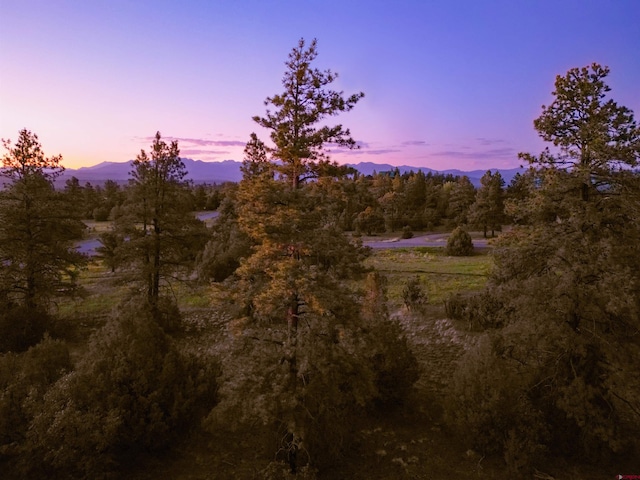 256 Heath Dr, Pagosa Springs, CO 81147