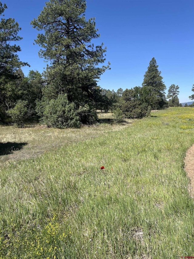 256 Heath Dr, Pagosa Springs, CO 81147