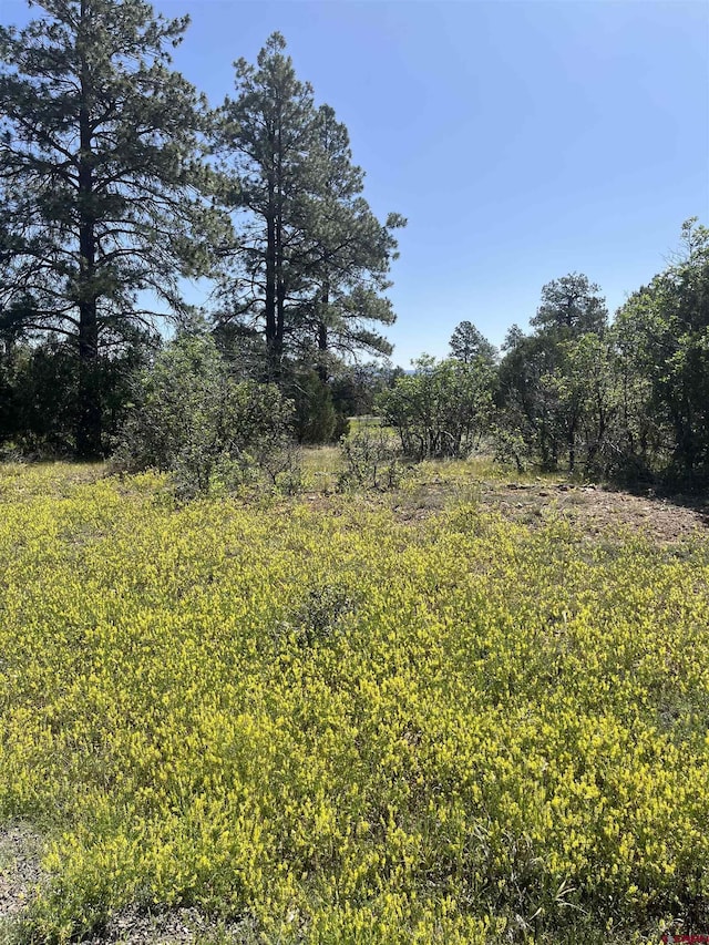 256 Heath Dr, Pagosa Springs, CO 81147