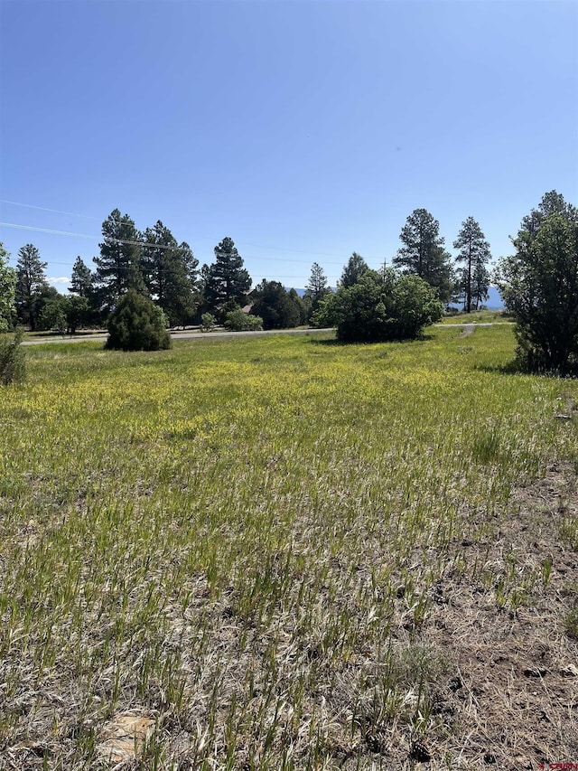 256 Heath Dr, Pagosa Springs, CO 81147