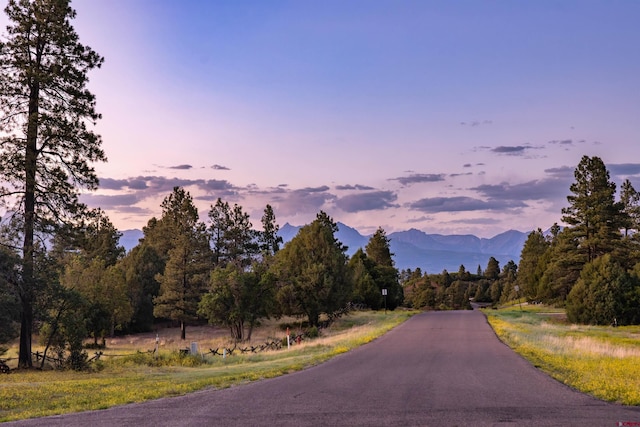 256 Heath Dr, Pagosa Springs, CO 81147