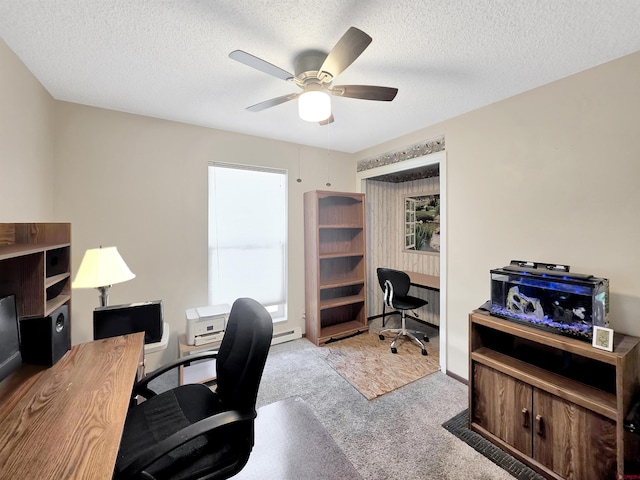 613 N Colorado St, Cortez, CO 81321 - office featuring carpet, a ceiling fan, and a textured ceiling