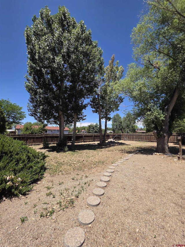 613 N Colorado St, Cortez, CO 81321 - view of fenced backyard