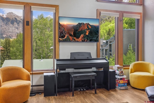 333 S Fir St Unit 101, Telluride, CO 81435 - living area featuring wood finished floors