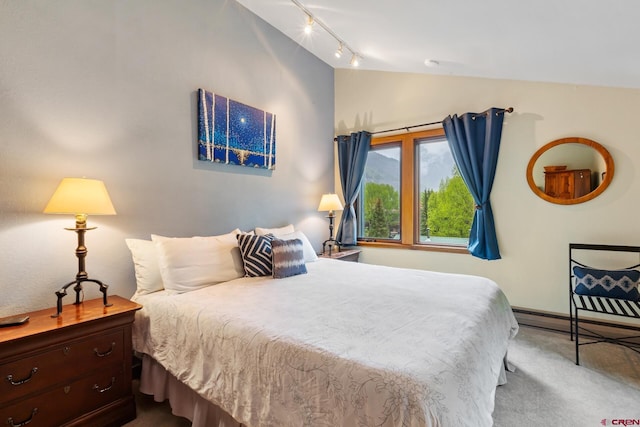 333 S Fir St Unit 101, Telluride, CO 81435 - bedroom with carpet, vaulted ceiling, and track lighting