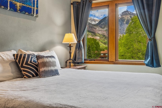 333 S Fir St Unit 101, Telluride, CO 81435 - bedroom with multiple windows