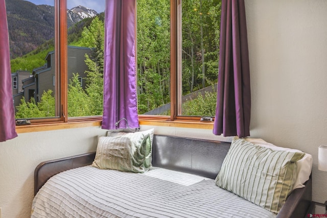 333 S Fir St Unit 101, Telluride, CO 81435 - bedroom featuring a mountain view and a textured wall