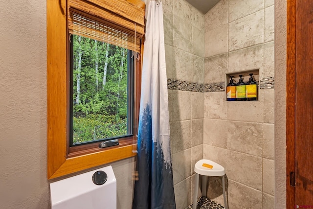 333 S Fir St Unit 101, Telluride, CO 81435 - full bath featuring a textured wall