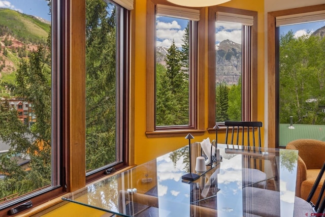 333 S Fir St Unit 101, Telluride, CO 81435 - dining space with plenty of natural light