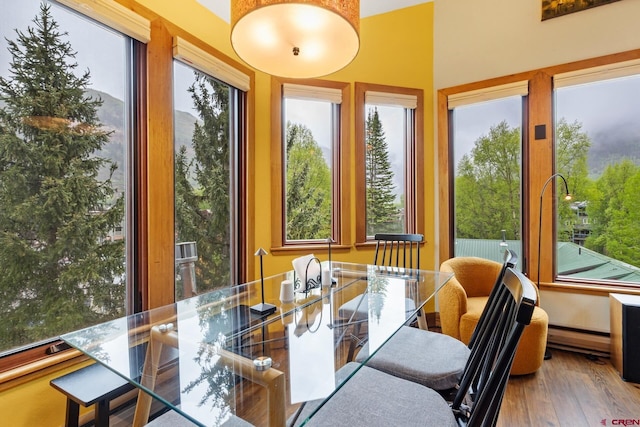 333 S Fir St Unit 101, Telluride, CO 81435 - view of sunroom