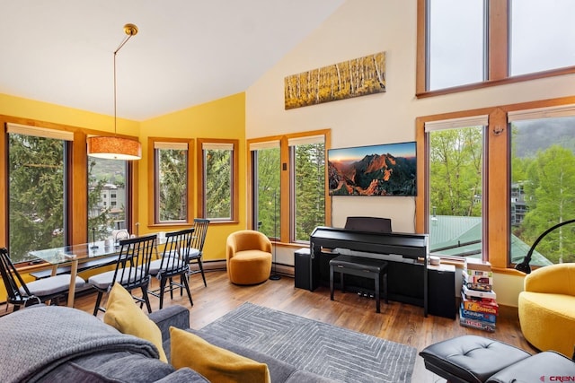 333 S Fir St Unit 101, Telluride, CO 81435 - living room featuring high vaulted ceiling, wood finished floors, and a baseboard heating unit