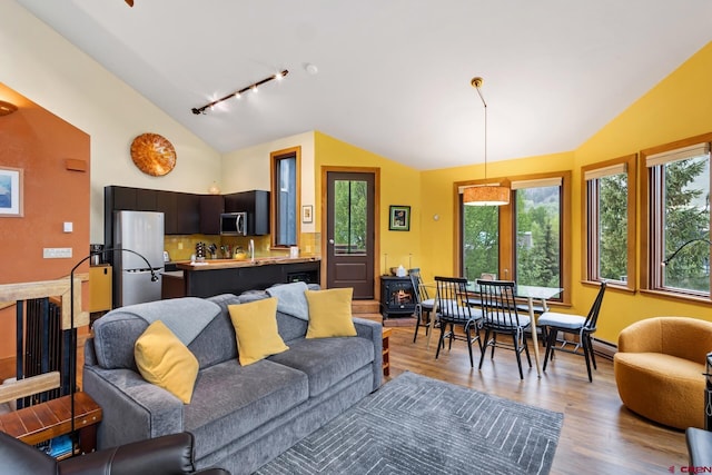 333 S Fir St Unit 101, Telluride, CO 81435 - living room featuring vaulted ceiling, rail lighting, a wood stove, plenty of natural light, and wood finished floors