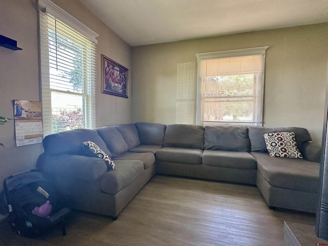 18551 F Rd, Delta, CO 81416 - living room featuring wood finished floors