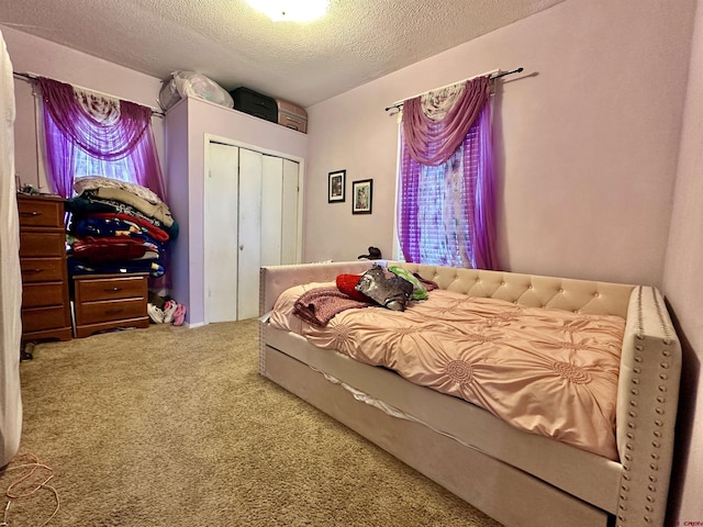 18551 F Rd, Delta, CO 81416 - bedroom featuring a closet, a textured ceiling, and carpet floors