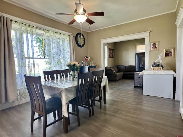 18551 F Rd, Delta, CO 81416 - dining area with ceiling fan, dark wood-type flooring, and crown molding