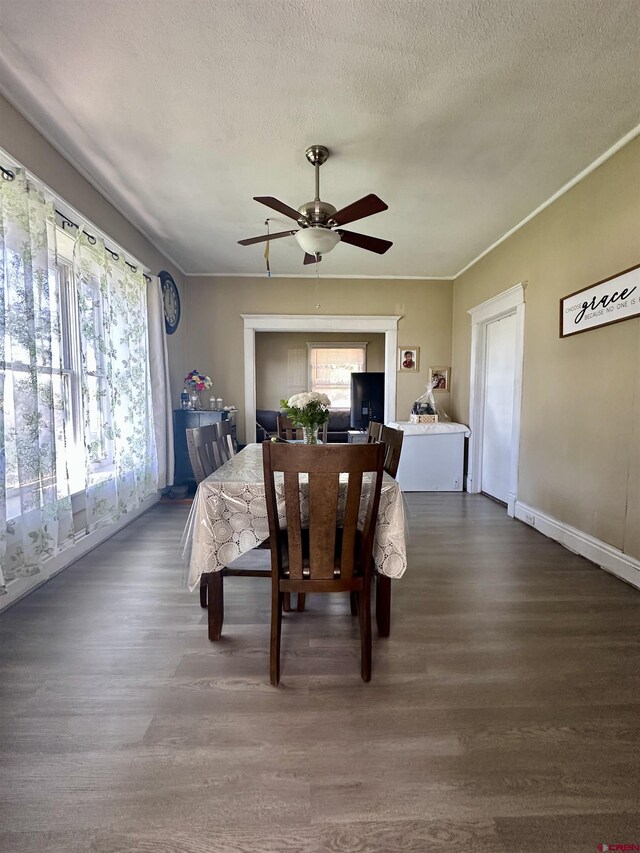 18551 F Rd, Delta, CO 81416 - dining space with dark wood-style floors, a ceiling fan, and a textured ceiling