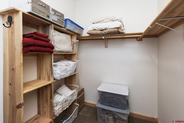 234 Wapiti Dr, Bayfield, CO 81122 - spacious closet with carpet flooring