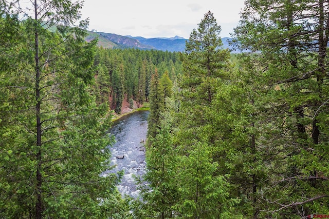 234 Wapiti Dr, Bayfield, CO 81122 - view of mountain backdrop with a forest