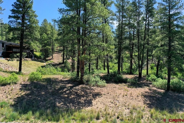 96 Wild Iris Ave, Durango, CO 81301