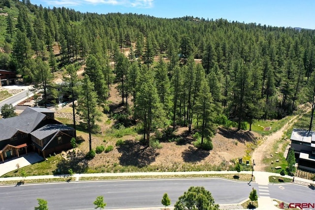 96 Wild Iris Ave, Durango, CO 81301