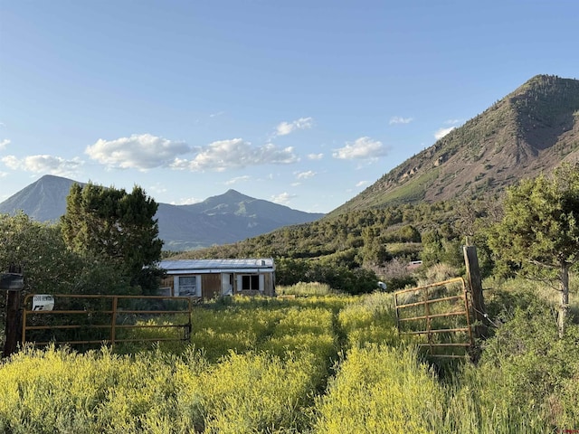 43867 Long Gulch Rd, Crawford, CO 81415 - mountain view