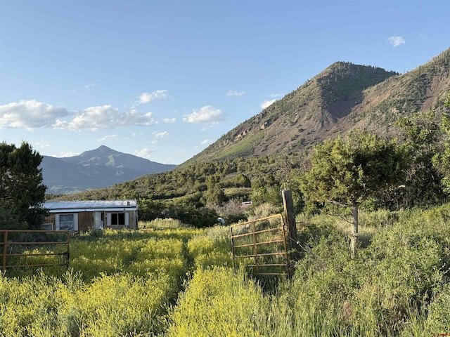 43867 Long Gulch Rd, Crawford, CO 81415 - mountain view