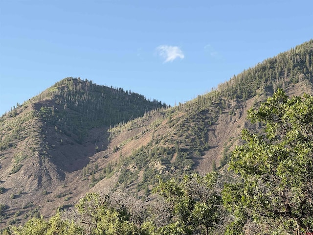 43867 Long Gulch Rd, Crawford, CO 81415 - mountain view