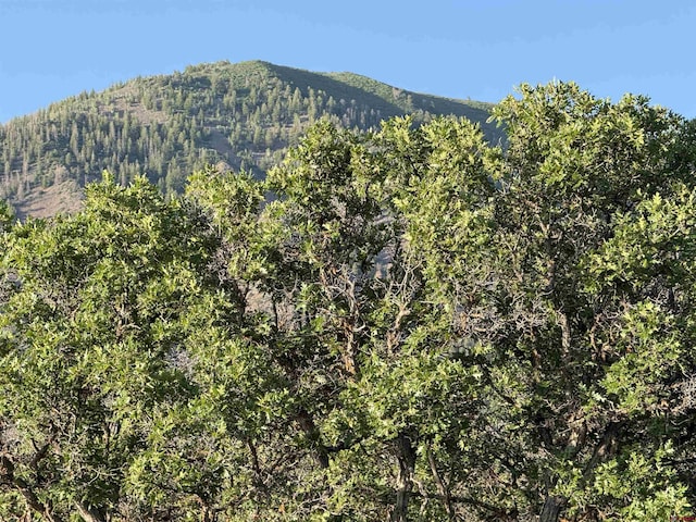 43867 Long Gulch Rd, Crawford, CO 81415 - mountain view with a forest