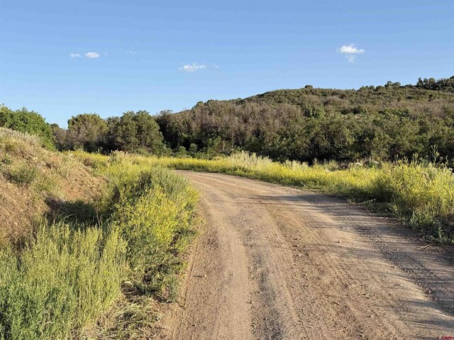 43867 Long Gulch Rd, Crawford, CO 81415 - view of dirt / gravel road