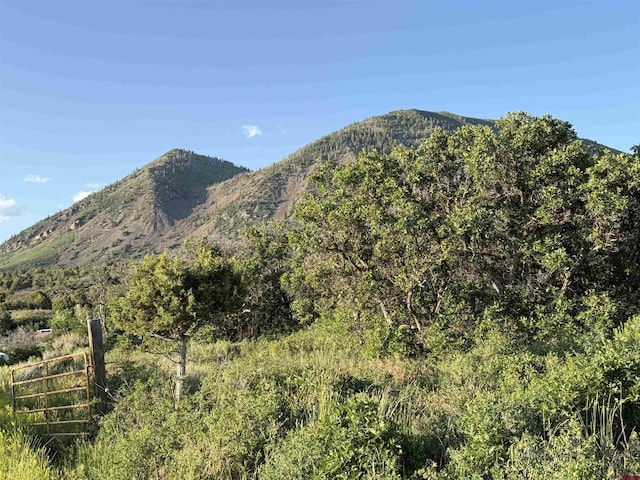 43867 Long Gulch Rd, Crawford, CO 81415 - view of mountain backdrop
