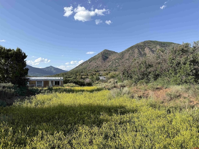 43867 Long Gulch Rd, Crawford, CO 81415 - view of mountain background
