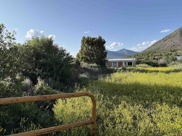 43867 Long Gulch Rd, Crawford, CO 81415 - view of yard with a mountain view