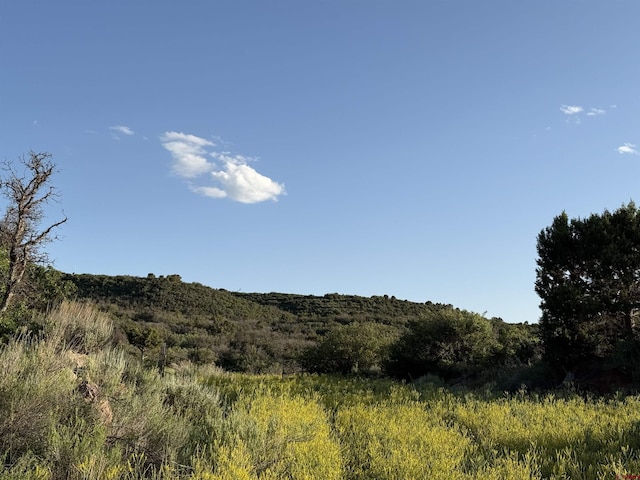 43867 Long Gulch Rd, Crawford, CO 81415 - view of nature