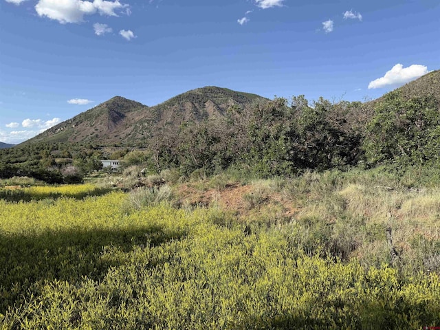 43867 Long Gulch Rd, Crawford, CO 81415 - view of mountain backdrop