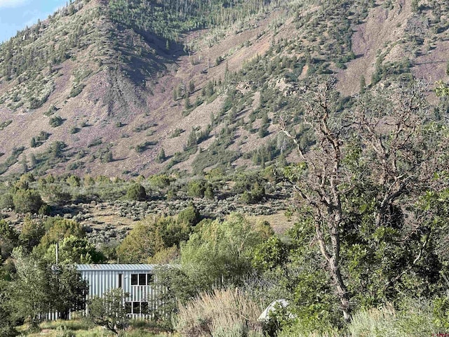 43867 Long Gulch Rd, Crawford, CO 81415 - view of mountain background