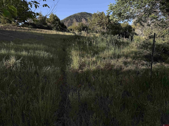 43867 Long Gulch Rd, Crawford, CO 81415 - view of mountain backdrop
